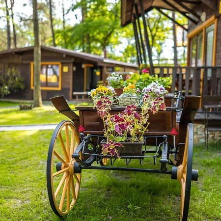 Ahooj Camping